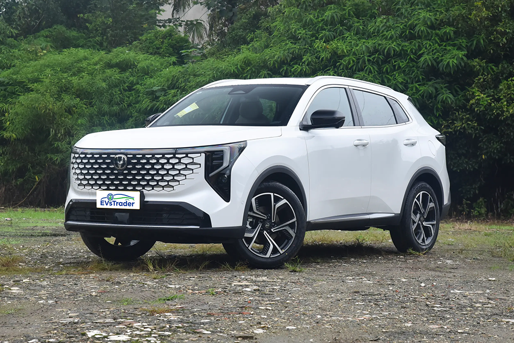 loaded into 40HQ container for export